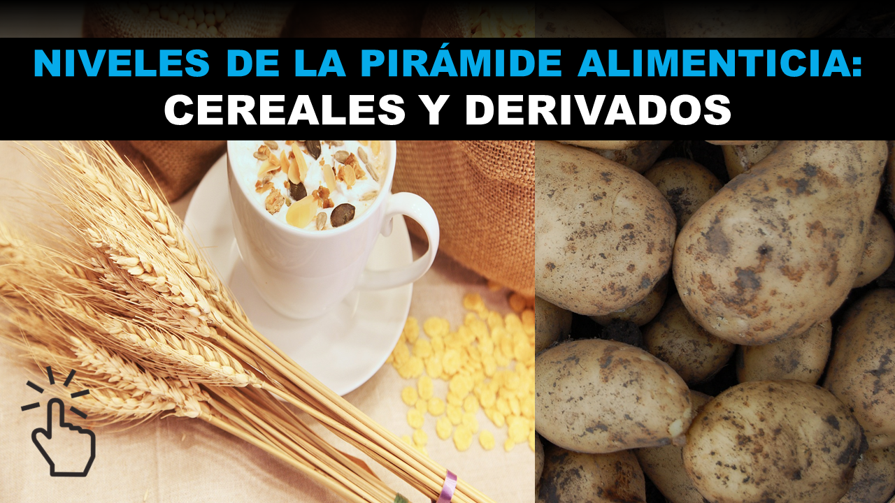 cereales y derivados dibujos, cereales y derivados azúcar y dulces, cereales y derivados pdf, cereales y derivados ejemplos,
