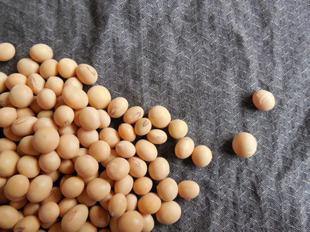 que son los cereales, cuales son los cereales, 