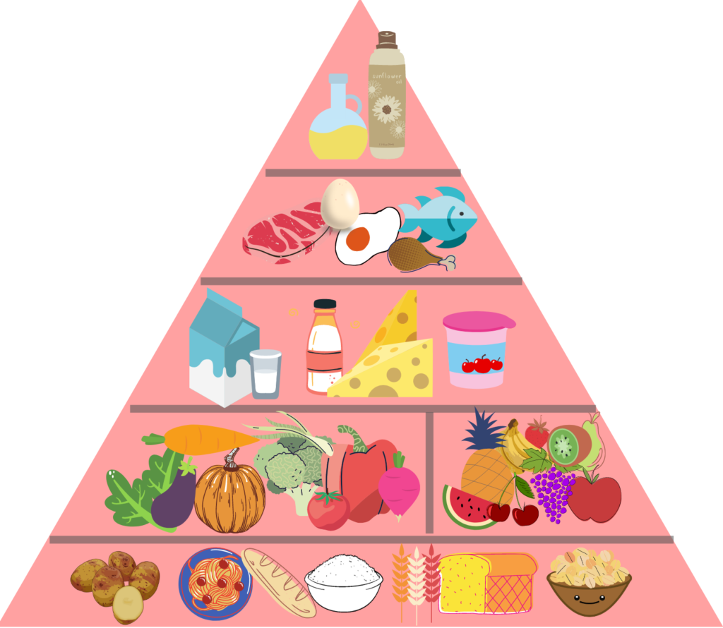 pirámide nutricional del adulto mayor
recetas para adultos mayores pdf
suplementos alimenticios para adultos mayores pdf
pirámide nutricional alimenticia