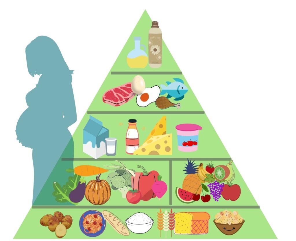 pirámide alimenticia

guía alimentaria para mujeres embarazadas

dieta para embarazadas

alimentación durante el embarazo

recomendaciones nutricionales en el embarazo